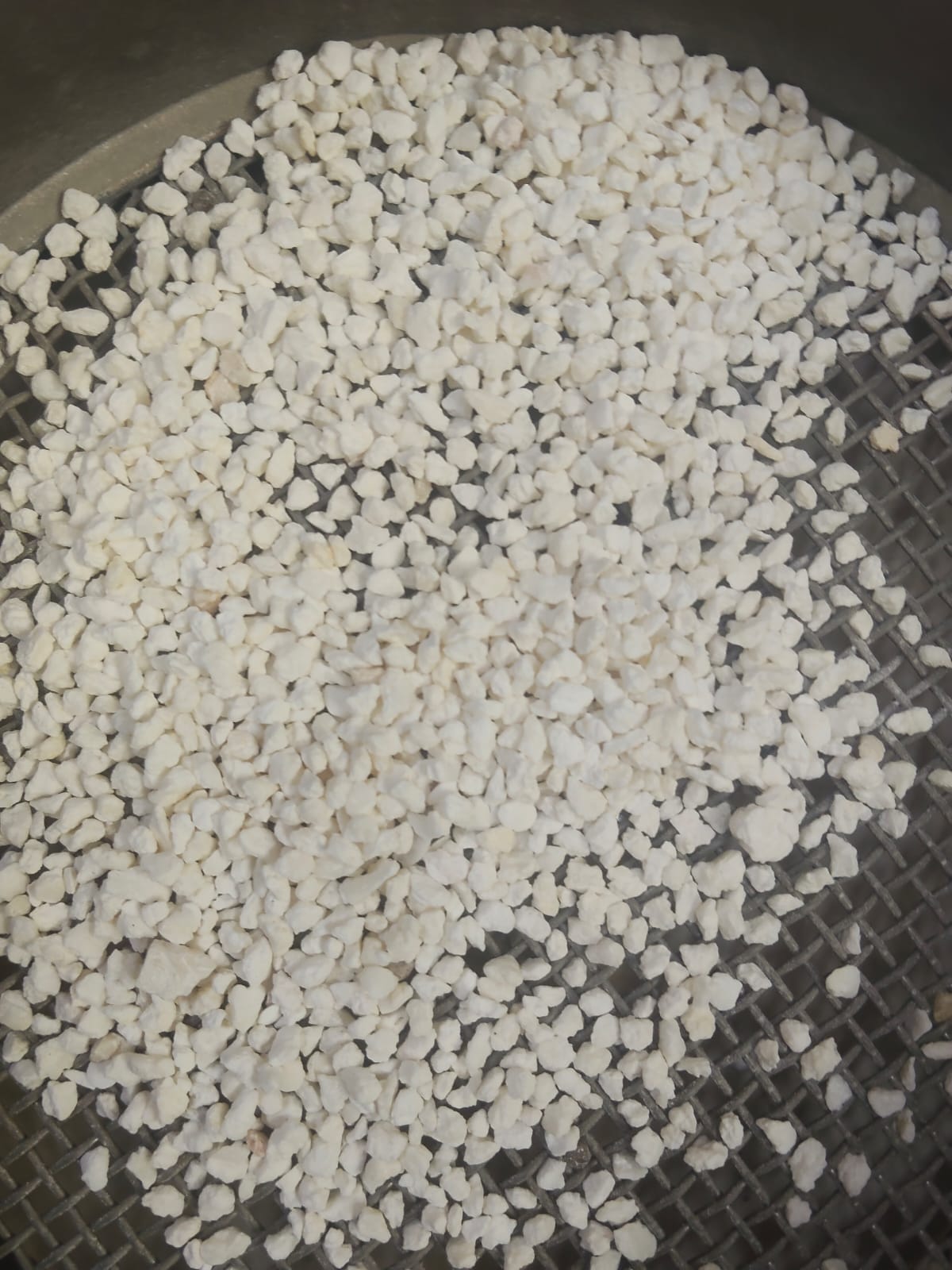 WhatsApp Image 2026-01-19 at 2.33.50 PM